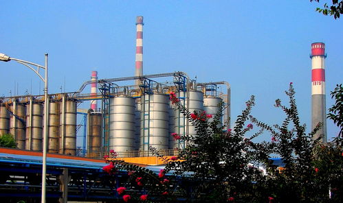 新款上線 川維化工公司pva產(chǎn)品完成 換裝