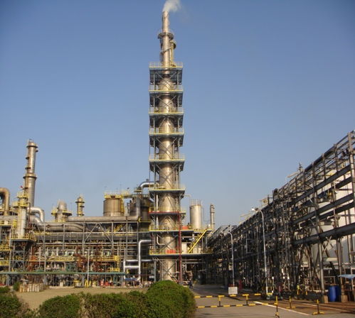 走近零碳 上海化工區(qū)調(diào)研 企業(yè)減排看效益,園區(qū)須加強(qiáng)統(tǒng)籌